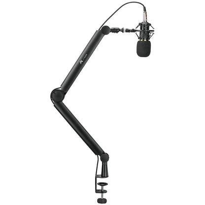 ACGAM MPS-1 Contemporary Studio Microphone Arm