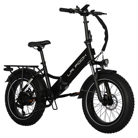 LAIFOOK Cityfun S Electric Bike, 250W Brushless Motor, 48V 14Ah Battery, 20 x 4.0 Inch Fat Tires, 25km/h Max Speed, 70km Range, Mechanical Disc Brake, Shimano 7 Speed, LCD Display - Black